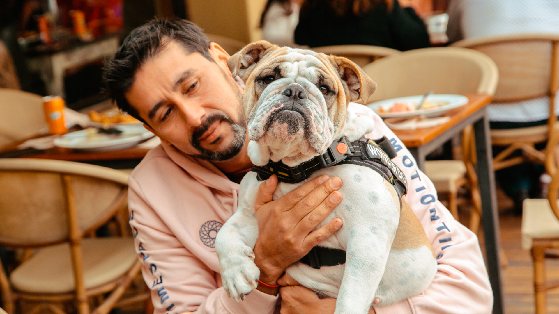 petfriendly mascotas en Secreto Restaurant Concón